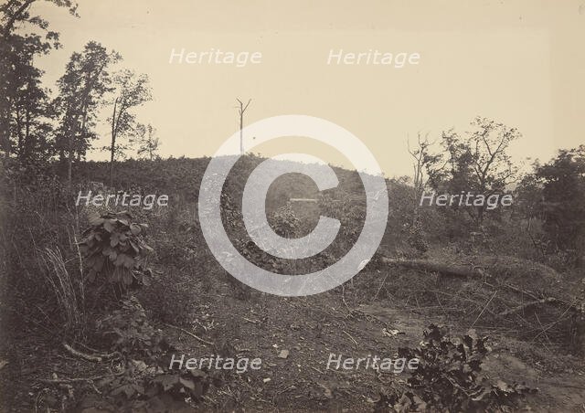 Pine Mountain, 1860s. Creator: George N. Barnard.
