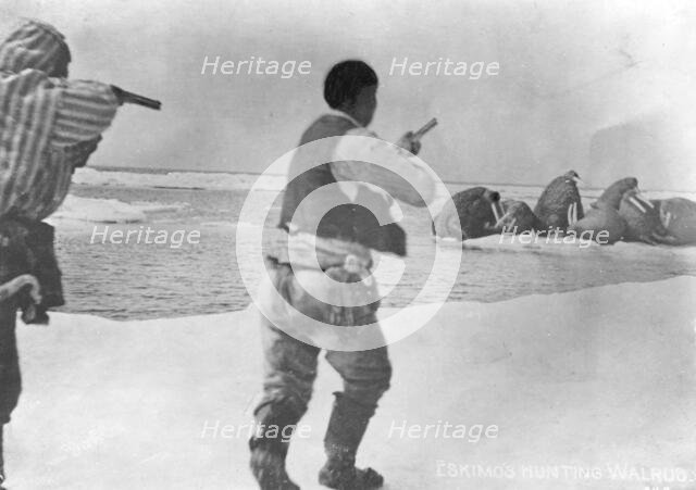 Eskimos hunting walrus, between c1900 and 1927. Creator: Unknown.