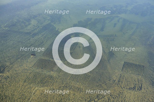 Oyster beds in Whitstable Bay, Kent, 2024. Creator: Damian Grady.