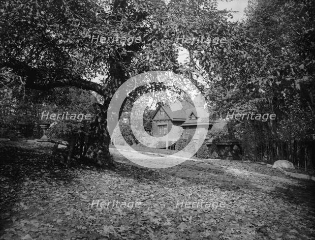 Lotta's Cottage, Hopateong (i.e. Hopatcong), N.J., between 1900 and 1906. Creator: Unknown.