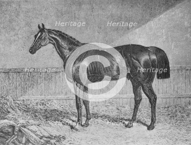 'Plenipotentiary', 1831-1854, (1911). Artist: Unknown.