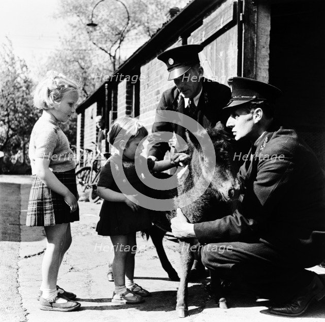 London Zoo, (1950s?). Artist: Henry Grant