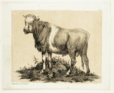 The Bull, October 1815. Creator: Godefroy Engelmann.