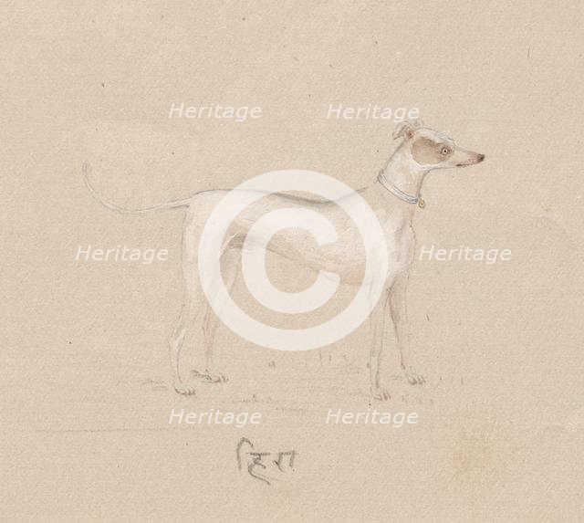 Dog, 1800s. Creator: Unknown.