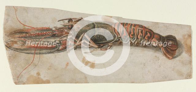 Lobster, 1600s. Creator: Anonymous.