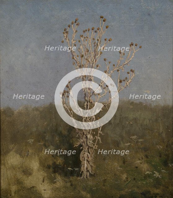 Carduus (plumeless thistles), 1885. Creator: Jan Stanislawski.