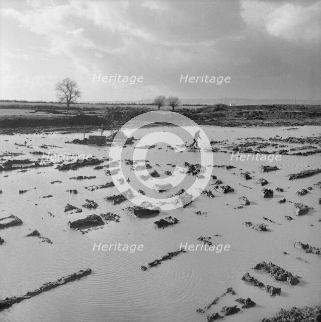 Berkeley Power Station, Berkeley, Ham and Stone, Stroud, Gloucestershire, 06/02/1957. Creator: John Laing plc.