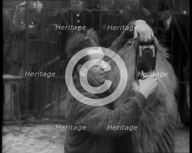 Man Opening a Lion’s Mouth, 1930s. Creator: British Pathe Ltd.