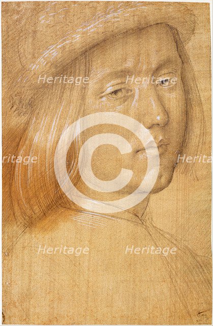 Head of a Youth. Artist: Lorenzo di Credi (1459-1537)