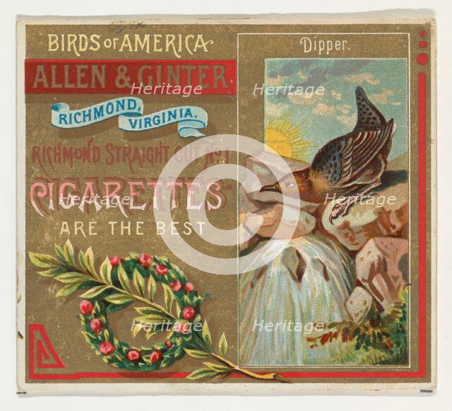 Dipper, from the Birds of America series (N37) for Allen & Ginter Cigarettes, 1888., 1888. Creator: Allen & Ginter.