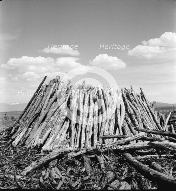 Central Utah dry land adjustment project, forty miles from Tooele, Utah, 1936. Creator: Dorothea Lange.