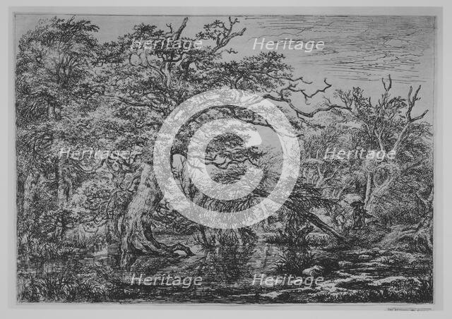 A Forest Marsh with Travelers on a Bank (The Travelers), 17th century. Creator: Jacob van Ruisdael.