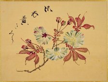 From the Sketch Book of Sakura (Cherry Blossoms), Between 1830 and 1853. Creator: Sakamoto, Konen (1800-1853).