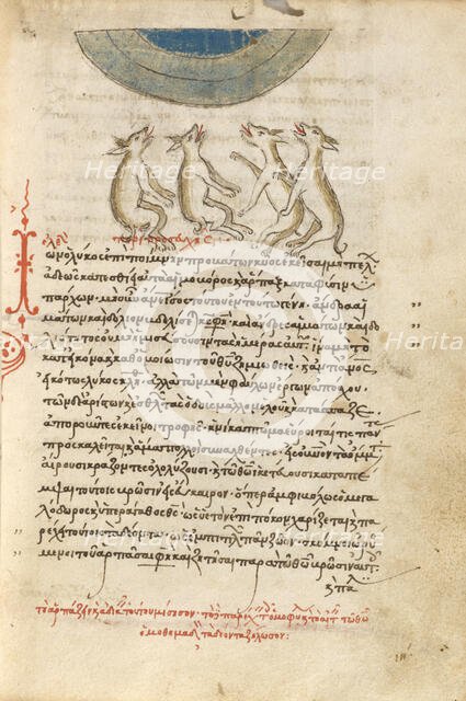 Four Wolves, 1510-1520. Creator: Unknown.