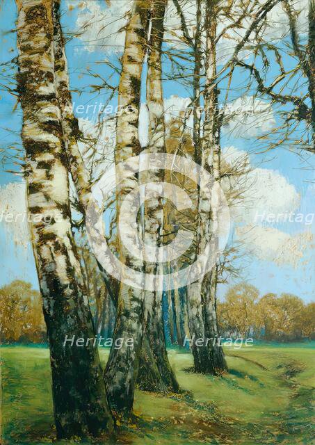 Birch trees, 1907. Creator: Ferdinand Engelmuller.