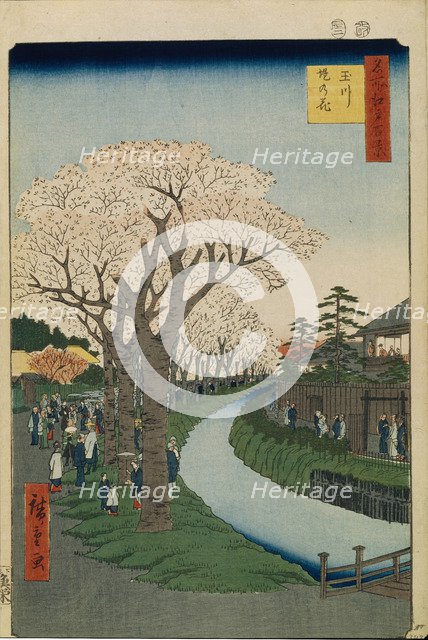 Cherry Blossoms on the Banks of the Tama River (One Hundred Famous Views of Edo), 1856-1858. Artist: Hiroshige, Utagawa (1797-1858)