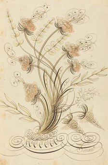 Calligraphic Flowers. Creator: Jean-Joseph Bernard.