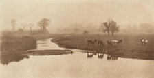 Sheep on the Marshes [Landscape with Cattle], 1890-1891, printed 1893. Creator: Dr Peter Henry Emerson.
