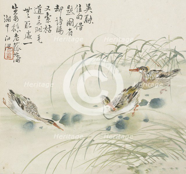 Three ducks swimming in a pool, 1857. Artist: Jin Yuan.