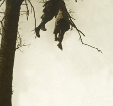 Body in tree, Bois d'Avocourt, Verdun, northern France, c1914-c1918.  Artist: Unknown.