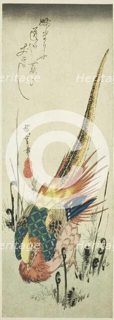 Golden pheasant and bracken ferns, c. 1830s. Creator: Ando Hiroshige.