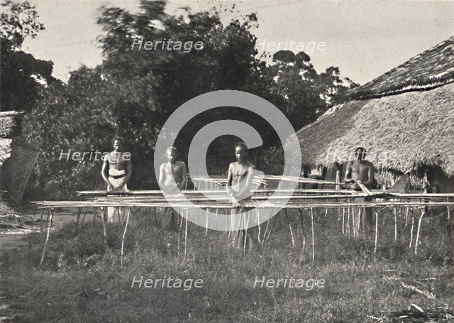 'Singhalesische Zimmtarbeiter bei der Arbeit', 1926. Artist: Unknown.