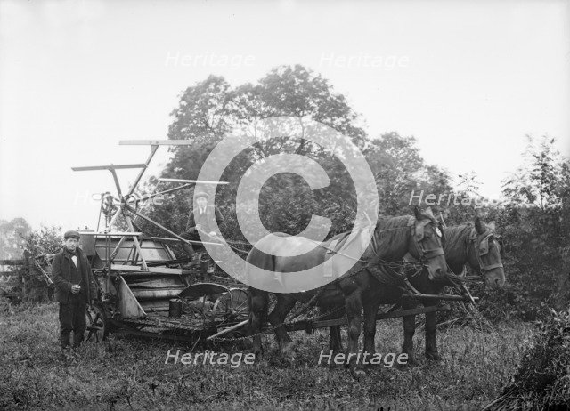Harvesting machine, Hellidon, Northamptonshire, c1896-c1920. Artist: Alfred Newton & Sons