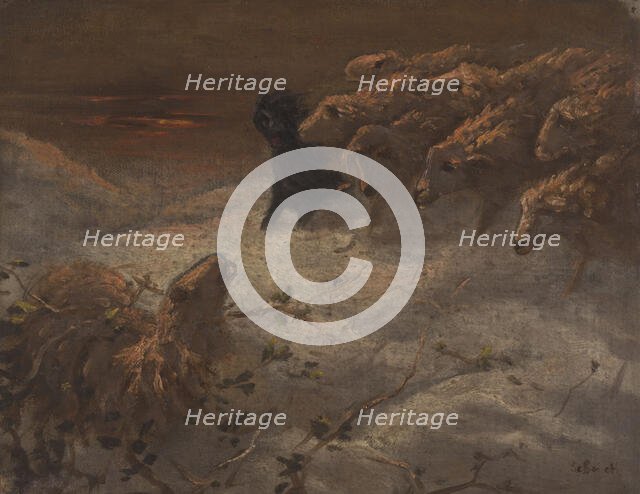 Sheep. Creator: August Friedrich Albrecht Schenck.