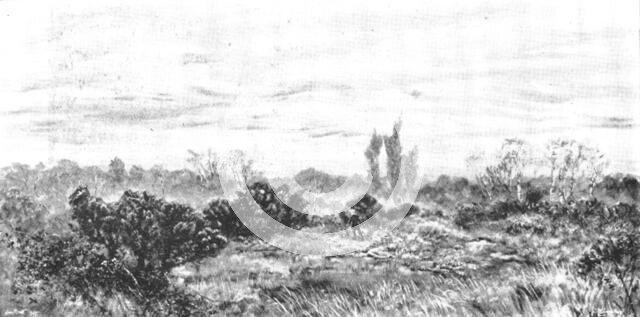 Pictures from the Royal Academy: "The Sear, The Yellow Leaf" - J. Brett, A.R.A., 1895. Creator: George Meisenbach.