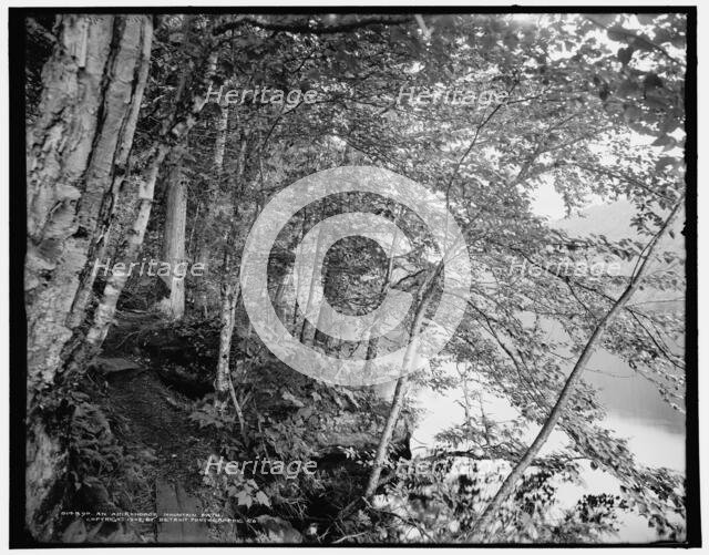 An Adirondack mountain path, c1902. Creator: William H. Jackson.