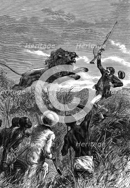 David Livingstone, Scottish missionary and African explorer, being charged by a lion, c1860. Artist: Unknown