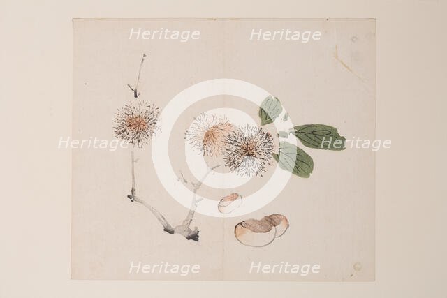 Page from Shi Zhu Zhai. Creator: Unknown.