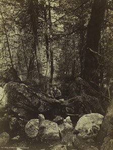 The Trail in West Gallatin Cañon, c. 1870s. Creator: William Henry Jackson (American, 1843-1942).