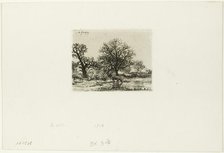Trees and Cows near a Pond, 1850. Creator: Charles Emile Jacque.