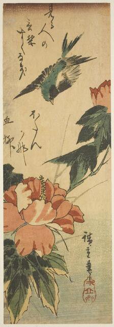 Swallow and hibiscus, c. 1830s. Creator: Ando Hiroshige.