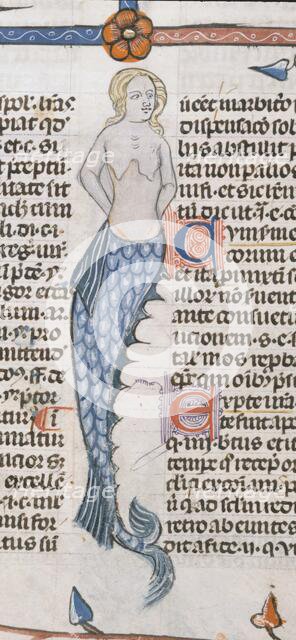 A mermaid, 1300-1340.  Creator: Unknown.