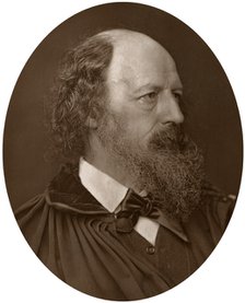 Alfred Tennyson, DCL, FRS, English Poet Laureate, 1883.Artist: Lock & Whitfield