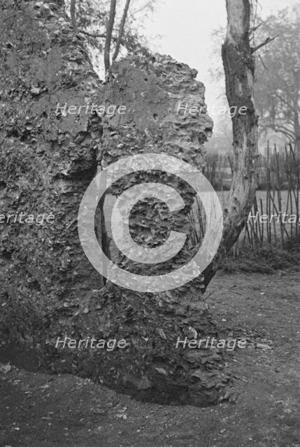 Possibly: Tabby construction, ruins of supposed Spanish mission, St. Marys, Georgia, 1936. Creator: Walker Evans.