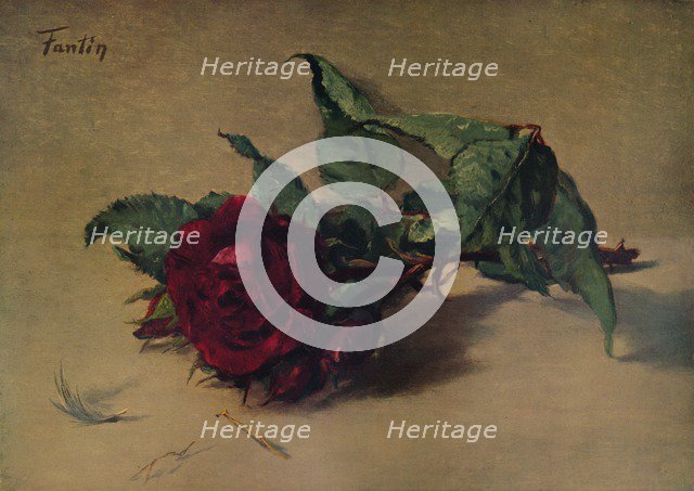 'Red Rose', c1864, (1938). Artist: Henri Fantin-Latour.