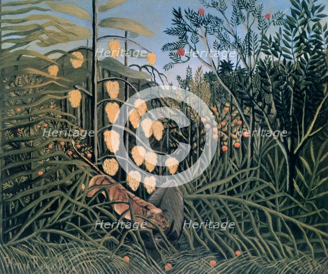 'Tropical Forest: Battling Tiger and Buffalo', 1908.  Artist: Henri Rousseau