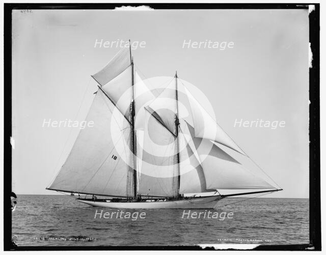 Merlin, 1890 July 10. Creator: Unknown.