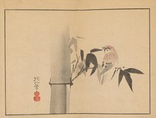 Sakai Hoitsu gajo (Sakai Hoitsu painting album). Creator: Hoitsu, Sakai (1761-1828).