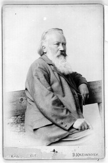 Portrait of Johannes Brahms (1833-1897).