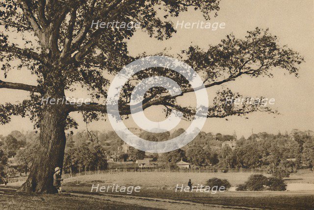 'Looking from the Green Slopes of Caen Wood Towards the Church Spire of Old Highgate', c1935. Creator: Unknown.