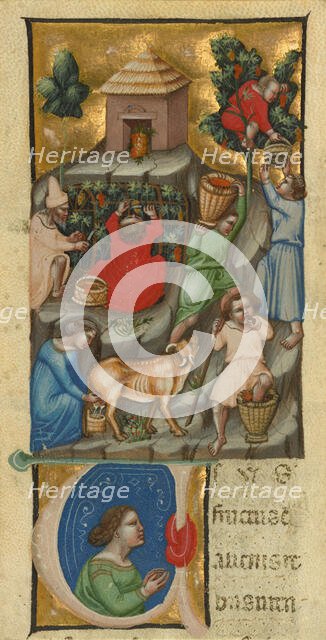 Harvest Scene; Initial U: A Figure, before 1340. Creator: Andrea da Bologna.