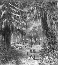 'Cypress Gardens of Chapultepec; A Ride Round the Valley of Mexico', 1875. Creator: Unknown.