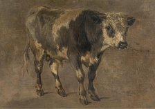 Bull, c1870s. Creator: Andre Plumot.