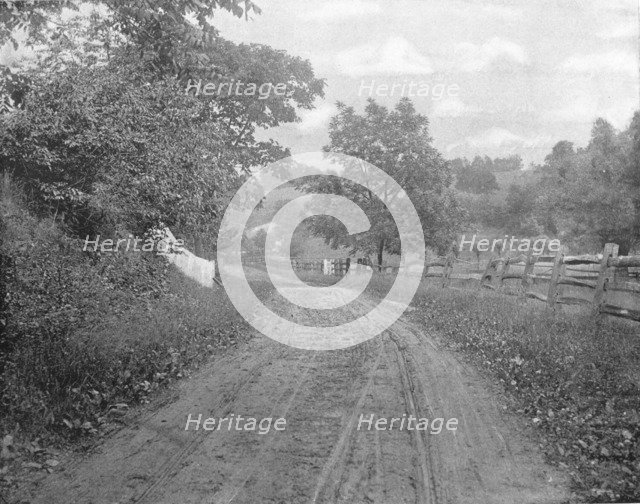 Road Alongside the Brandywine, Pennsylvania, USA, c1900.  Creator: Unknown.
