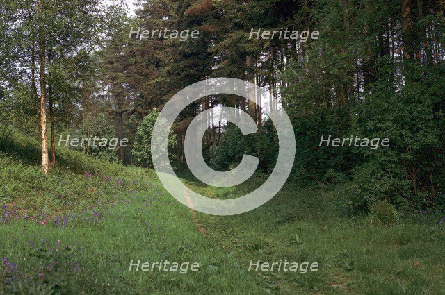 Track of a Roman road. Artist: Unknown