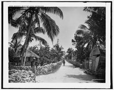 Meadow St., Bain's Town, Nassau, Bahama Islds., c1901. Creator: William H. Jackson.